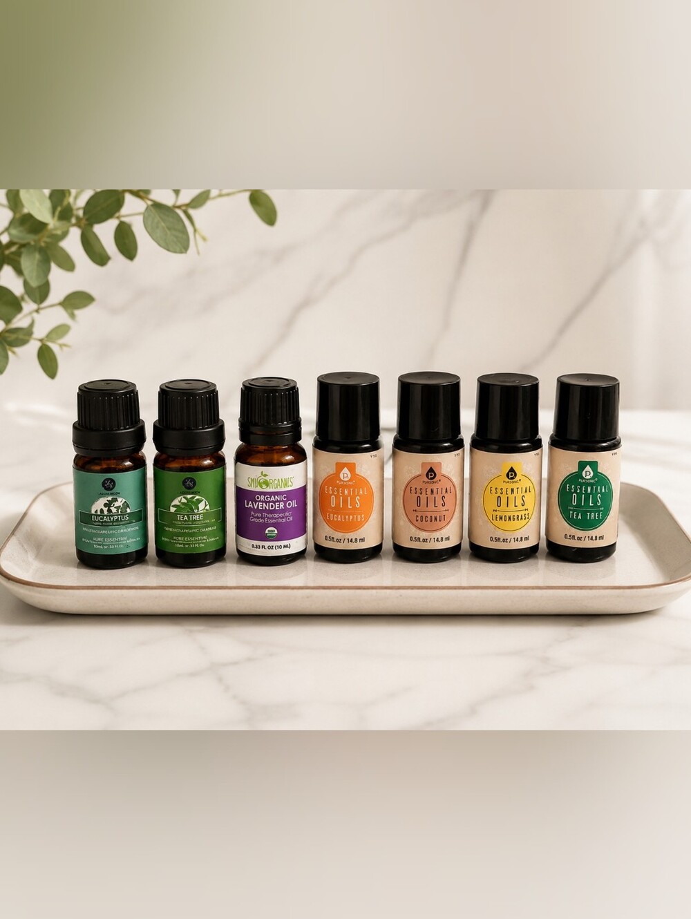 Essential Oil Lot of 7 Mixed Eucalyptus,Tea Tree, Lavender, Coconut & Lemongrass